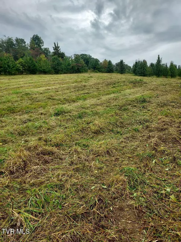 Surgoinsville, TN 37873,Tbd Highway 11w