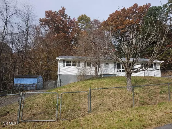 Cedar Bluff, VA 24609,175 Indian Springs DR