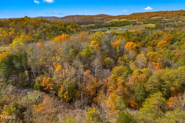 Thorn Hill, TN 37881,853 Twin Ponds LN