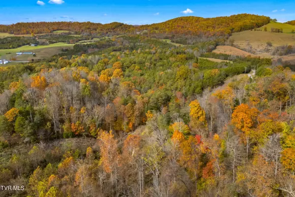 Thorn Hill, TN 37881,853 Twin Ponds LN