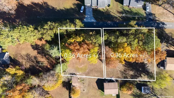 White Pine, TN 37890,Lots 14-15 Wilmore DR
