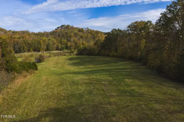 Blackwater, VA 24221,1619 Lynn Flanary RD