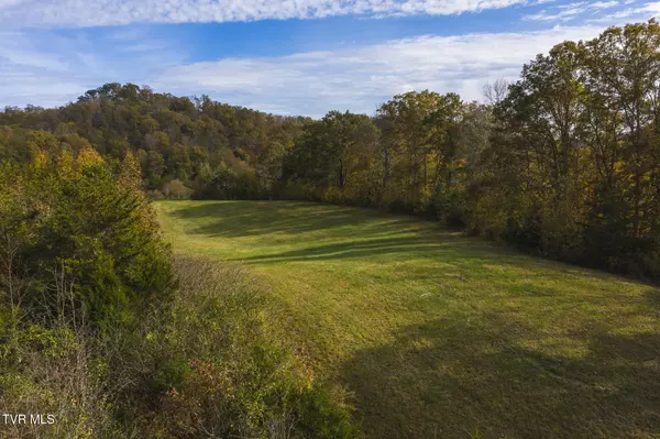 Blackwater, VA 24221,1619 Lynn Flanary RD