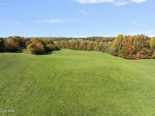 Jonesborough, TN 37659,103 Cherokee Mountain RD