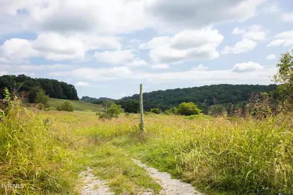 Chuckey, TN 37641,2710 Jearoldstown RD