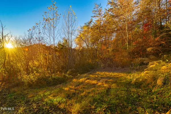 Blackwater, VA 24221,0 Flower Gap RD