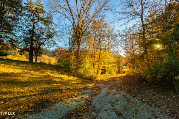 Blackwater, VA 24221,0 Flower Gap RD