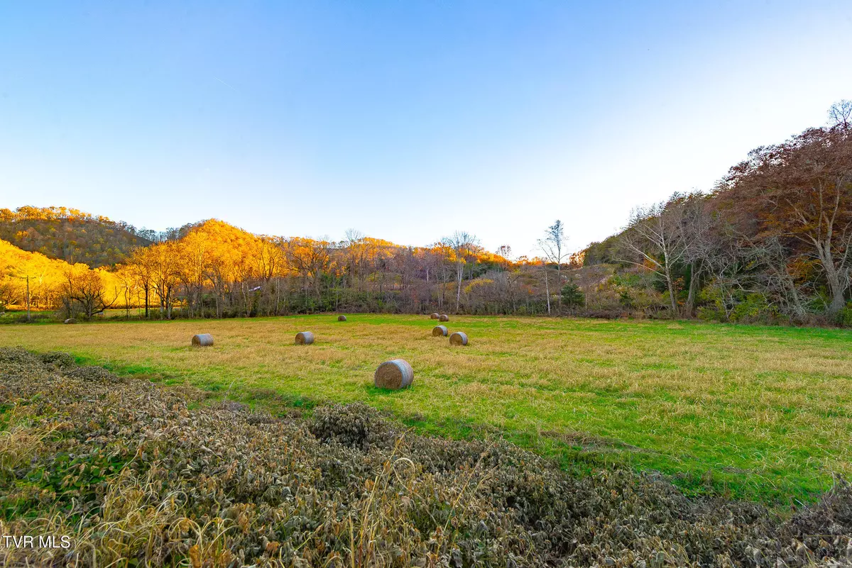 Blackwater, VA 24221,0 Flower Gap RD