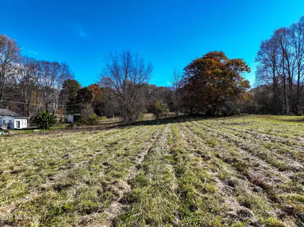 Blountville, TN 37617,297 Bluff RD