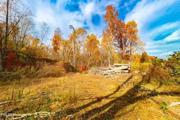 Elizabethton, TN 37643,0 Siam RD