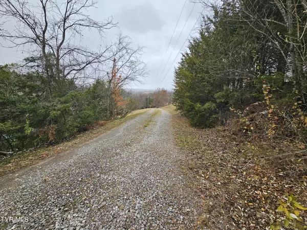 Castlewood, VA 24224,493 Banners Corner RD