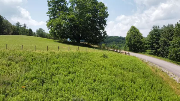 Mountain City, TN 37683,Lot 53 Laurel WAY