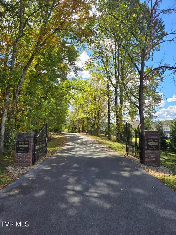 Blountville, TN 37617,290 Candy Creek Private DR