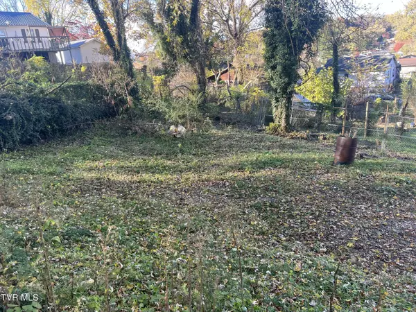 Kingsport, TN 37665,306 Delaware ST