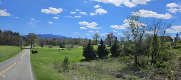 Tbd Honeysuckle Lane, Chuckey, TN 37641