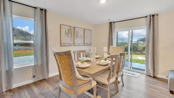 Blountville, TN 37617,240 Chimney View Loop