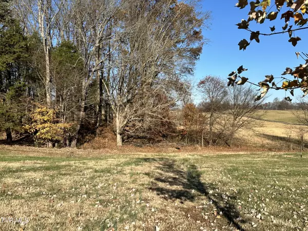 Rogersville, TN 37857,468 Austin Cir CIR