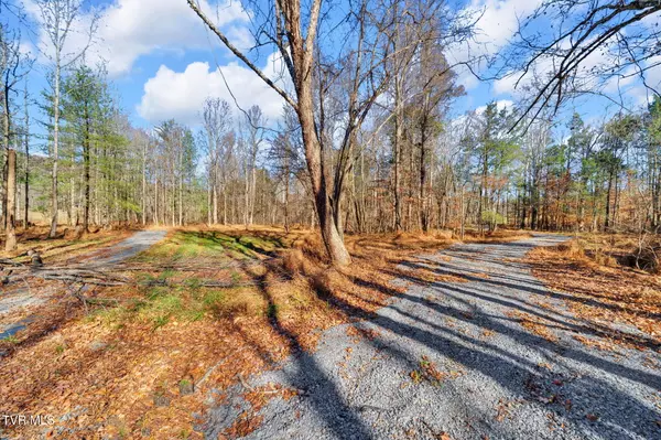 Erwin, TN 37650,Tbd Mcinturff Springs RD