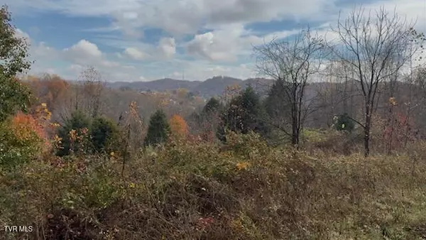 Bristol, TN 37620,1030 Paperville RD