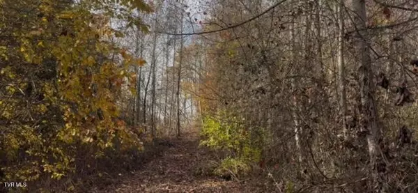 Bristol, TN 37620,1030 Paperville RD