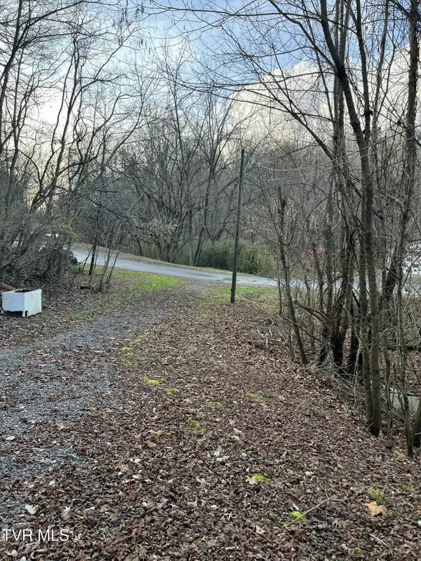 Fort Blackmore, VA 24250,529 Stallard Lawson Cemetary Lane LN