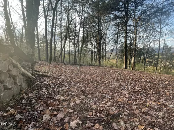 Gate City, VA 24251,Tbd Hill Station Alley Rd.