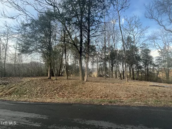 Tbd Hill Station Alley Rd., Gate City, VA 24251