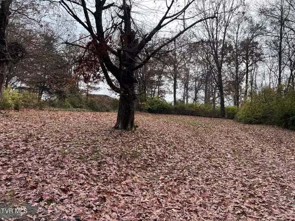 Morristown, TN 37814,308 Branner ST