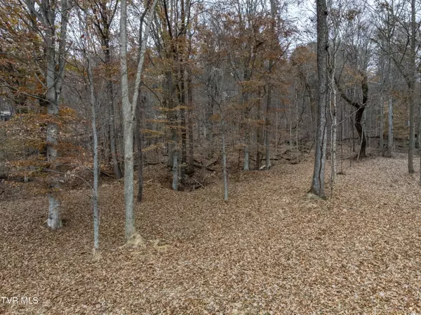 Blountville, TN 37617,211 Rocky Branch RD