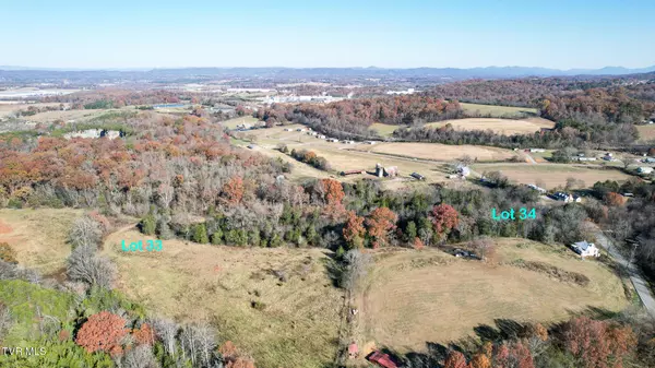 Midway, TN 37809,Lot 33 Sinking Springs RD