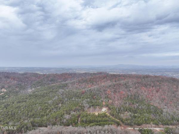 Mohawk, TN 37810,750 Tom White Hollow Road RD