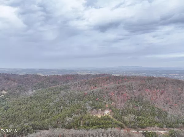 Mohawk, TN 37810,750 Tom White Hollow Road RD