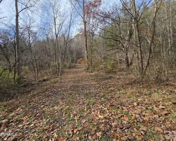 Piney Flats, TN 37686,355 Austin Springs RD