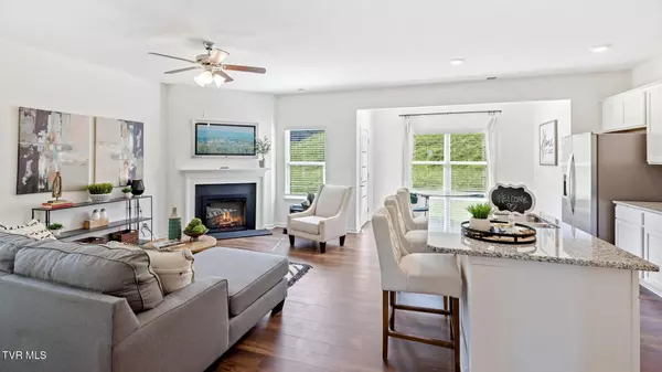 Johnson City, TN 37615,233 Artist Avenue