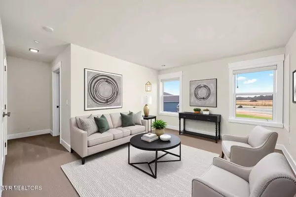 Johnson City, TN 37615,339 Cookie LOOP