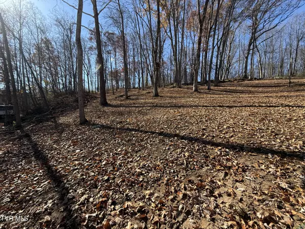 0 Milligan HWY, Johnson City, TN 37601