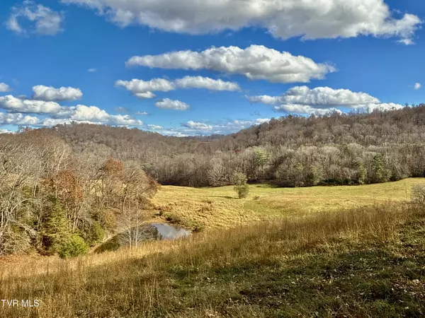 1520 Brittontown RD, Afton, TN 37616