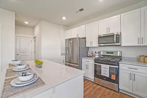 Johnson City, TN 37615,232 Artist Avenue