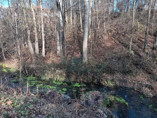 Mount Carmel, TN 37645,000 Independence Ave