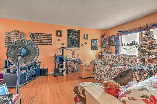 Church Hill, TN 37642,1041 Okrina DR