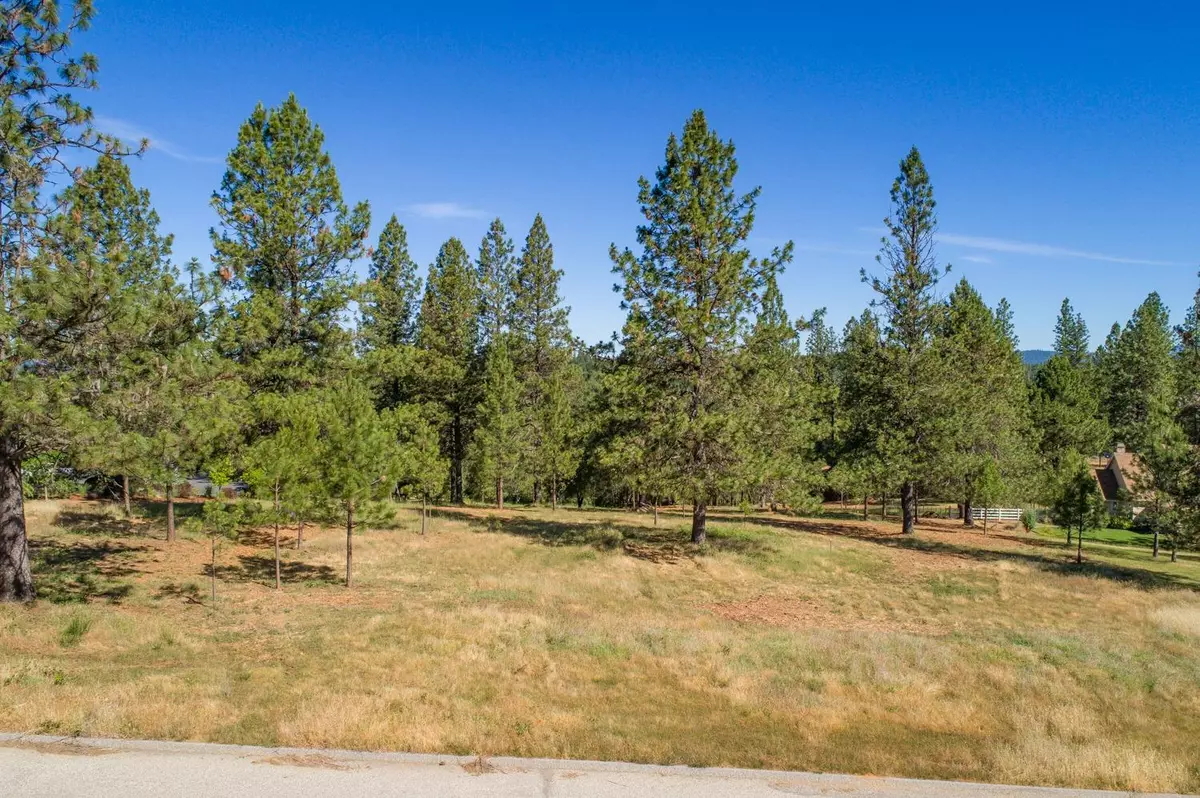 Colfax, CA 95712,Lot 5 Tokayana Ranch LN