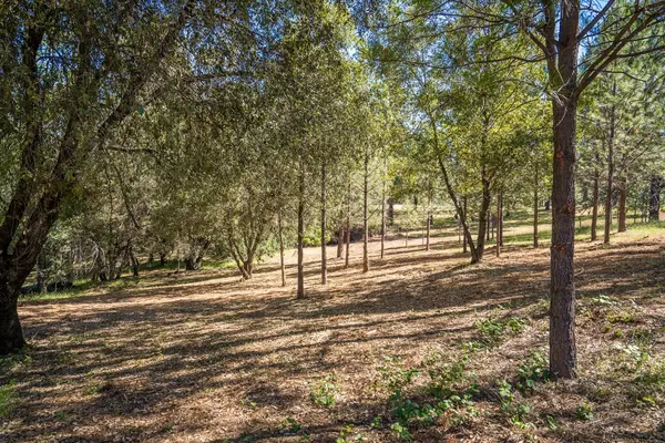 Colfax, CA 95712,Lot 5 Tokayana Ranch LN