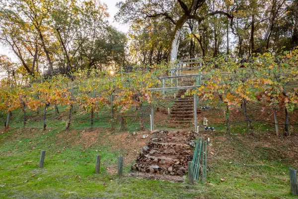 Auburn, CA 95602,22801 Hidden Ranch RD