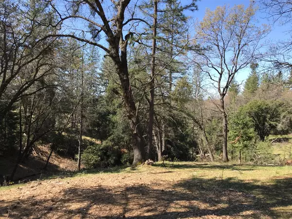 Placerville, CA 95667,3641 Kincade DR