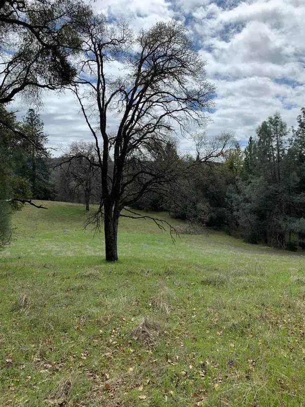 Fiddletown, CA 95629,0 Cedar Pines