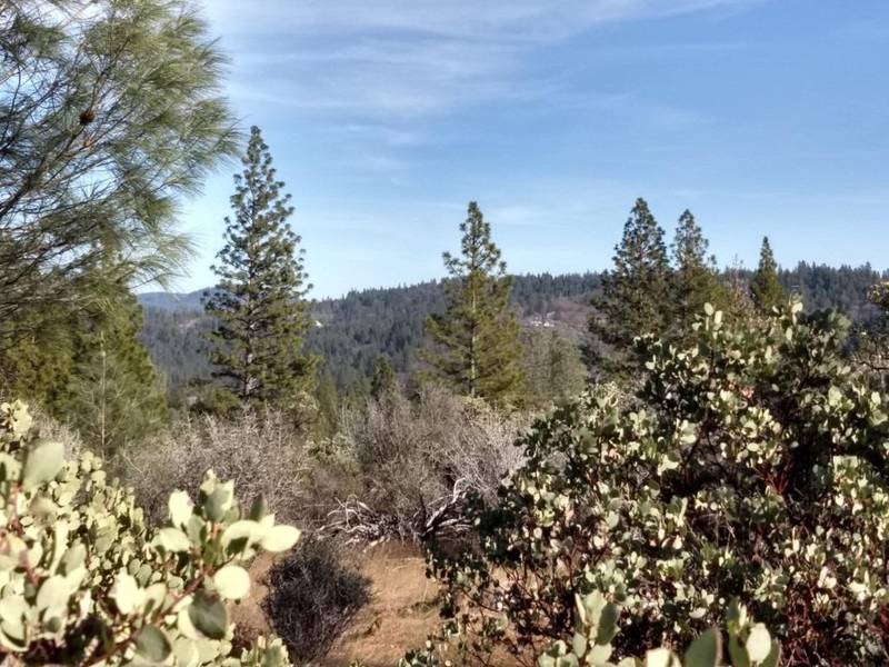 13579 Brannon Ct, Nevada City, CA 95949