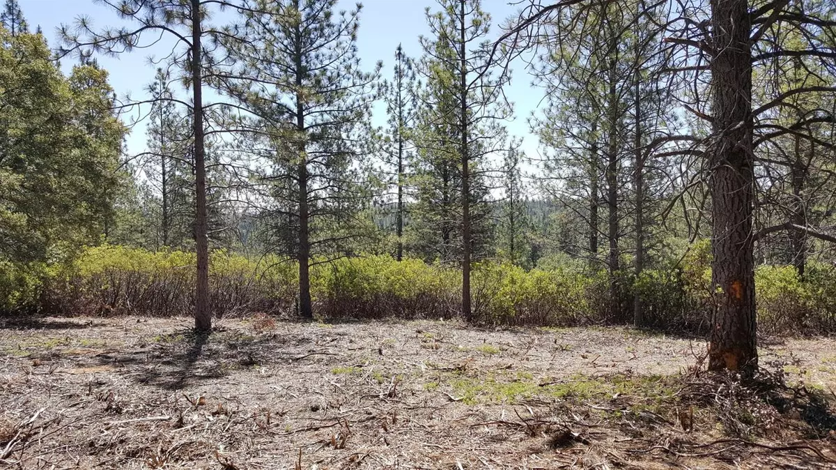 Glencoe, CA 95232,52.2 ACS Deardorff RD