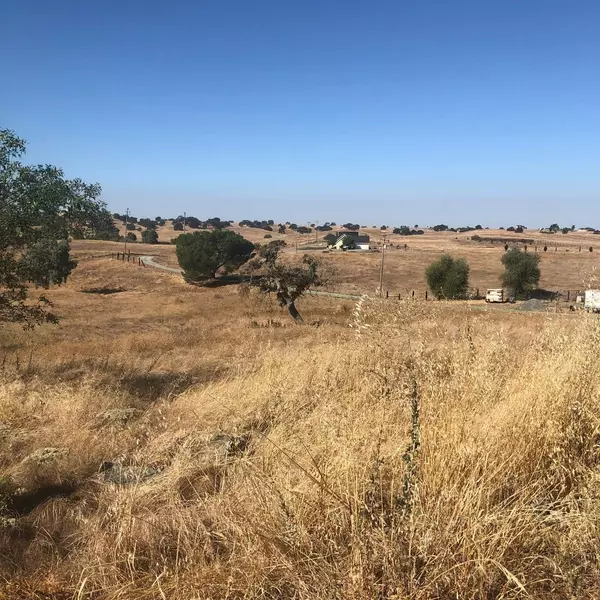 2946 Grapevine Gulch Road, Ione, CA 95640