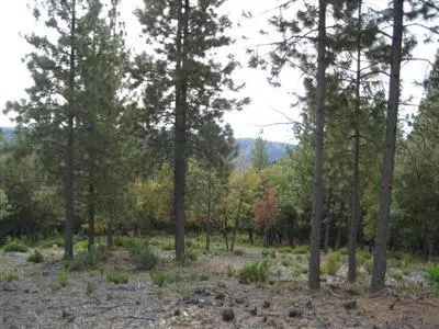 Foresthill, CA 95631,0 106 Acres Foresthill