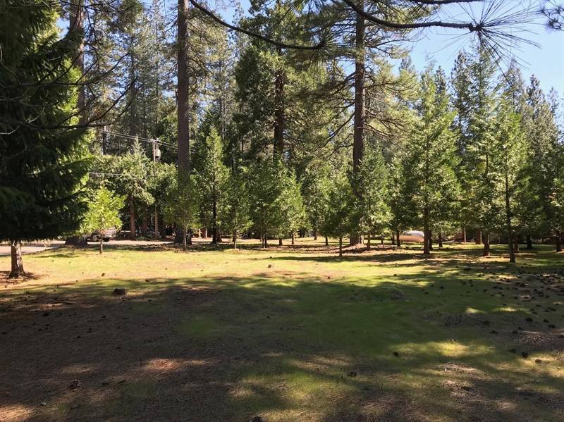 5308 Blue Mountain Dr., Grizzly Flats, CA 95636